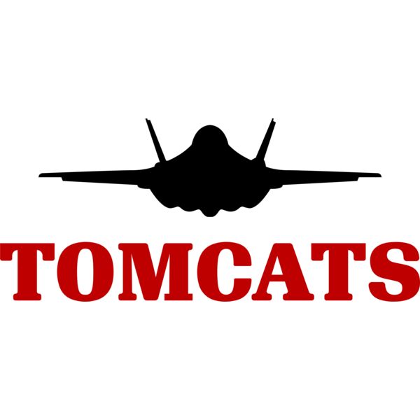 F35C Jet Tomcats Thumbnail